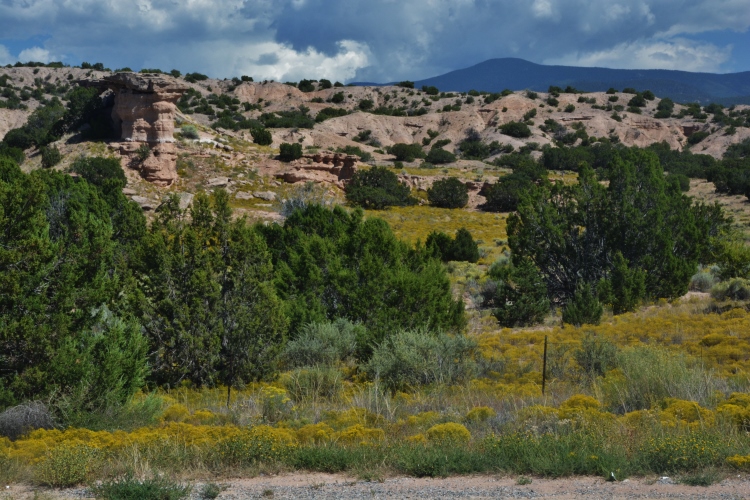 landscape on the High Road